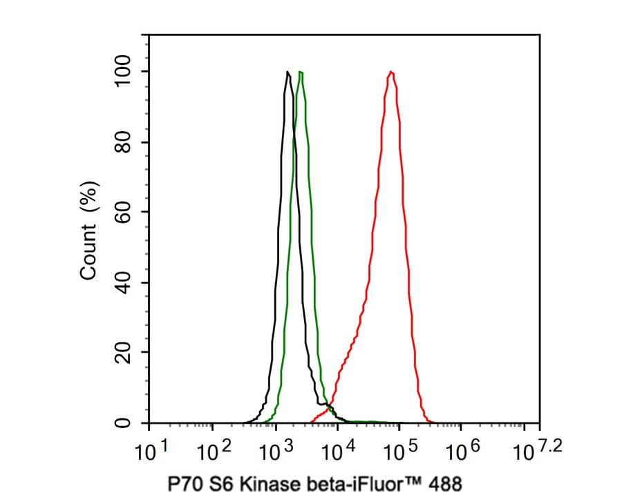 Flow Cytometry: p70 S6 Kinase beta/S6K2 Antibody (JE35-69) [NBP3-32704] - Flow cytometric analysis of MCF7 cells labeling p70 S6 Kinase beta/S6K2. Cells were fixed and permeabilized. Then stained with the primary antibody (NBP3-32704, 1ug/ml) (red) compared with Rabbit IgG Isotype Control (green). After incubation of the primary antibody at +4℃ for an hour, the cells were stained with a iFluor™ 488 conjugate-Goat anti-Rabbit IgG Secondary antibody at 1/1,000 dilution for 30 minutes at +4℃. Unlabelled sample was used as a control (cells without incubation with primary antibody; black).