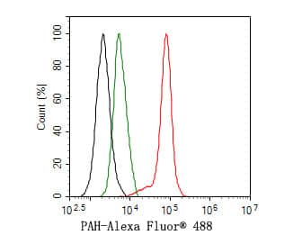 Flow Cytometry: Phenylalanine Hydroxylase Antibody (JE64-47) [NBP3-32708] - Flow cytometric analysis of HepG2 cells labeling Phenylalanine Hydroxylase. Cells were fixed and permeabilized. Then stained with the primary antibody (NBP3-32708, 1ug/ml) (red) compared with Rabbit IgG Isotype Control (green). After incubation of the primary antibody at +4℃ for an hour, the cells were stained with a Alexa Fluor® 488 conjugate-Goat anti-Rabbit IgG Secondary antibody at 1/1,000 dilution for 30 minutes at +4℃. Unlabelled sample was used as a control (cells without incubation with primary antibody; black).