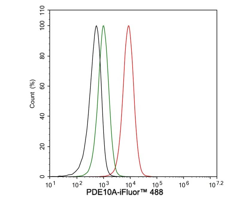 Flow Cytometry: PDE10A Antibody (PSH03-61) [NBP3-32729] - Flow cytometric analysis of SH-SY5Y cells labeling PDE10A. Cells were fixed and permeabilized. Then stained with the primary antibody (NBP3-32729, 1μg/mL) (red) compared with Rabbit IgG Isotype Control (green). After incubation of the primary antibody at +4℃ for an hour, the cells were stained with a iFluor™ 488 conjugate-Goat anti-Rabbit IgG Secondary antibody at 1/1,000 dilution for 30 minutes at +4℃. Unlabelled sample was used as a control (cells without incubation with primary antibody; black).