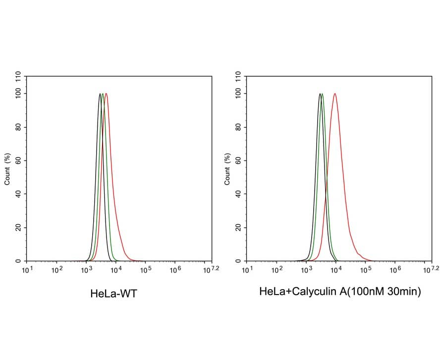 Flow Cytometry: CDC2/CDK1 [p Thr161] Antibody (PSH03-42) [NBP3-32753] - Flow cytometric analysis of HeLa cells treated with or without 100nM Calyculin A for 30 minutes labeling CDC2/CDK1. Cells were fixed and permeabilized. Then stained with the primary antibody (NBP3-32753, 1/100) (red) compared with Rabbit IgG Isotype Control (green). After incubation of the primary antibody at +4℃ for an hour, the cells were stained with a iFluor™ 488 conjugate-Goat anti-Rabbit IgG Secondary antibody at 1/1,000 dilution for 30 minutes at +4℃. Unlabelled sample was used as a control (cells without incubation with primary antibody; black).