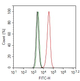 Flow Cytometry: PPP3CB Antibody (PSH0-21) [NBP3-32848] - Flow cytometric analysis of MCF-7 cells labeling PPP3CB. Cells were fixed and permeabilized. Then stained with the primary antibody (NBP3-32848, 1ug/ml) (red) compared with Rabbit IgG Isotype Control (green). After incubation of the primary antibody at +4℃ for an hour, the cells were stained with a iFluor™ 488 conjugate-Goat anti-Rabbit IgG Secondary antibody at 1/1,000 dilution for 30 minutes at +4℃. Unlabelled sample was used as a control (cells without incubation with primary antibody; black).