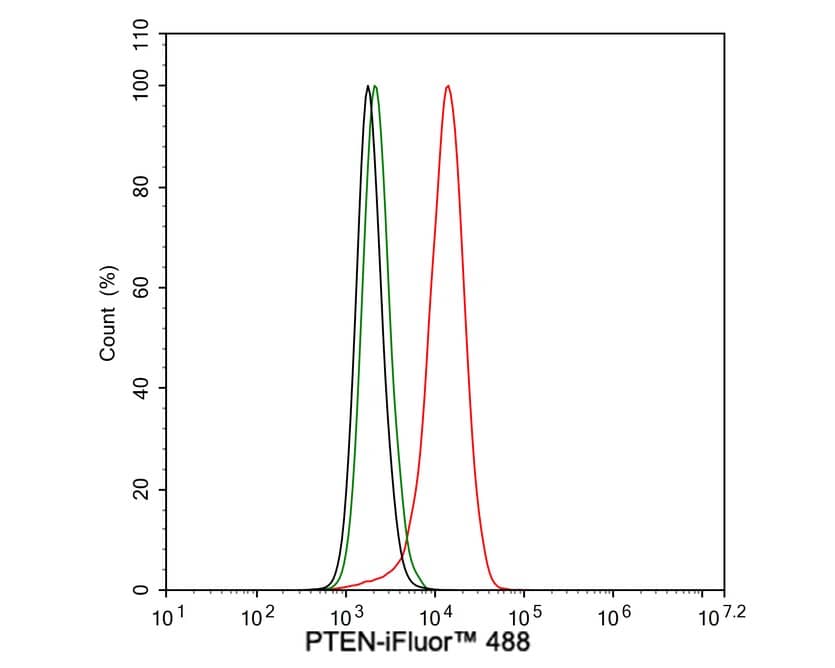 Flow Cytometry: PTEN Antibody (JE51-96) [NBP3-32873] - Flow cytometric analysis of A431 cells labeling PTEN. Cells were fixed and permeabilized. Then stained with the primary antibody (NBP3-32873, 1μg/mL) (red) compared with Rabbit IgG Isotype Control (green). After incubation of the primary antibody at +4℃ for an hour, the cells were stained with a iFluor™ 488 conjugate-Goat anti-Rabbit IgG Secondary antibody at 1/1,000 dilution for 30 minutes at +4℃. Unlabelled sample was used as a control (cells without incubation with primary antibody; black).