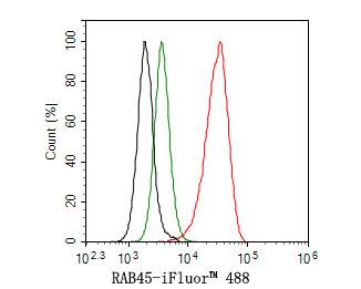 Flow Cytometry RASEF Antibody (JE65-33)