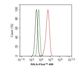 Flow Cytometry: RalA Antibody (JE54-12) [NBP3-32891] - Flow cytometric analysis of HUVEC cells labeling RalA. Cells were fixed and permeabilized. Then stained with the primary antibody (NBP3-32891, 1ug/ml) (red) compared with Rabbit IgG Isotype Control (green). After incubation of the primary antibody at +4℃ for an hour, the cells were stained with a iFluor™ 488 conjugate-Goat anti-Rabbit IgG Secondary antibody at 1/1,000 dilution for 30 minutes at +4℃. Unlabelled sample was used as a control (cells without incubation with primary antibody; black).