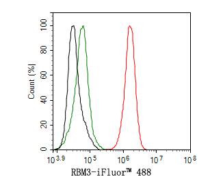 Flow Cytometry: RBM3 Antibody (JE63-84) [NBP3-32899] - Flow cytometric analysis of THP-1 cells labeling RBM3. Cells were fixed and permeabilized. Then stained with the primary antibody (NBP3-32899, 1ug/ml) (red) compared with Rabbit IgG Isotype Control (green). After incubation of the primary antibody at +4℃ for an hour, the cells were stained with a iFluor™ 488 conjugate-Goat anti-Rabbit IgG Secondary antibody at 1/1,000 dilution for 30 minutes at +4℃. Unlabelled sample was used as a control (cells without incubation with primary antibody; black).