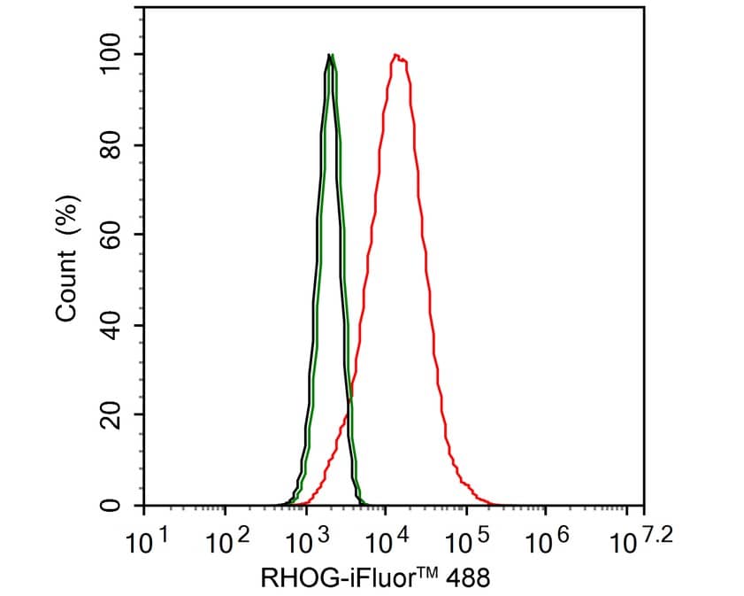 Flow Cytometry: RhoG Antibody (PSH02-70) [NBP3-32902] - Flow cytometric analysis of HeLa cells labeling RhoG. Cells were fixed and permeabilized. Then stained with the primary antibody (NBP3-32902, 1/1000) (red) compared with Rabbit IgG Isotype Control (green). After incubation of the primary antibody at +4℃ for an hour, the cells were stained with a iFluor™ 488 conjugate-Goat anti-Rabbit IgG Secondary antibody at 1/1,000 dilution for 30 minutes at +4℃. Unlabelled sample was used as a control (cells without incubation with primary antibody; black).