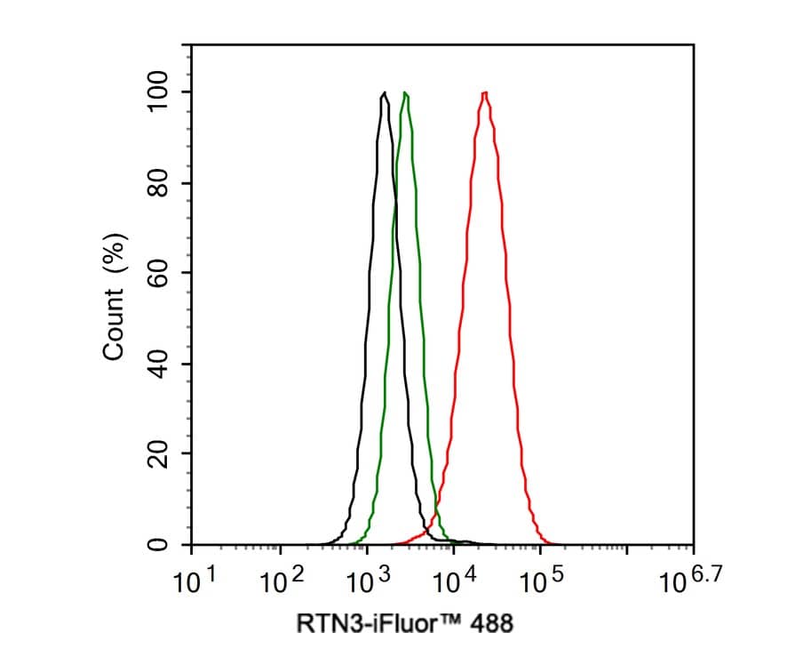 Flow Cytometry: RTN3 Antibody (PSH0-40) [NBP3-32921] - Flow cytometric analysis of HeLa cells labeling RTN3. Cells were fixed and permeabilized. Then stained with the primary antibody (NBP3-32921, 1ug/ml) (red) compared with Rabbit IgG Isotype Control (green). After incubation of the primary antibody at +4℃ for an hour, the cells were stained with a iFluor™ 488 conjugate-Goat anti-Rabbit IgG Secondary antibody at 1/1,000 dilution for 30 minutes at +4℃. Unlabelled sample was used as a control (cells without incubation with primary antibody; black).