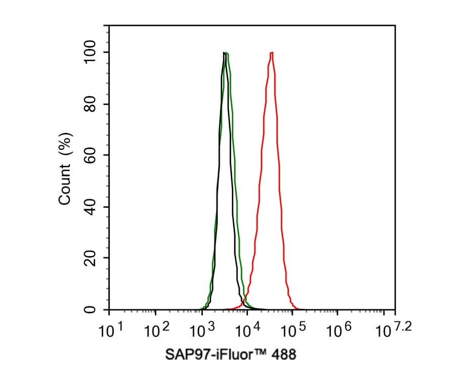 Flow Cytometry: DLG1 Antibody (JE39-74) [NBP3-32929] - Flow cytometric analysis of SiHa cells labeling DLG1. Cells were fixed and permeabilized. Then stained with the primary antibody (NBP3-32929, 1ug/ml) (red) compared with Rabbit IgG Isotype Control (green). After incubation of the primary antibody at +4℃ for an hour, the cells were stained with a iFluor™ 488 conjugate-Goat anti-Rabbit IgG Secondary antibody at 1/1,000 dilution for 30 minutes at +4℃. Unlabelled sample was used as a control (cells without incubation with primary antibody; black).