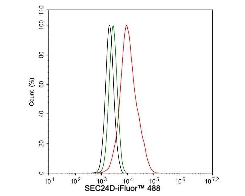 Flow Cytometry: SEC24D Antibody (JE65-27) [NBP3-32937] - Flow cytometric analysis of HeLa cells labeling SEC24D. Cells were fixed and permeabilized. Then stained with the primary antibody (NBP3-32937, 1μg/mL) (red) compared with Rabbit IgG Isotype Control (green). After incubation of the primary antibody at +4℃ for an hour, the cells were stained with a iFluor™ 488 conjugate-Goat anti-Rabbit IgG Secondary antibody at 1/1,000 dilution for 30 minutes at +4℃. Unlabelled sample was used as a control (cells without incubation with primary antibody; black).