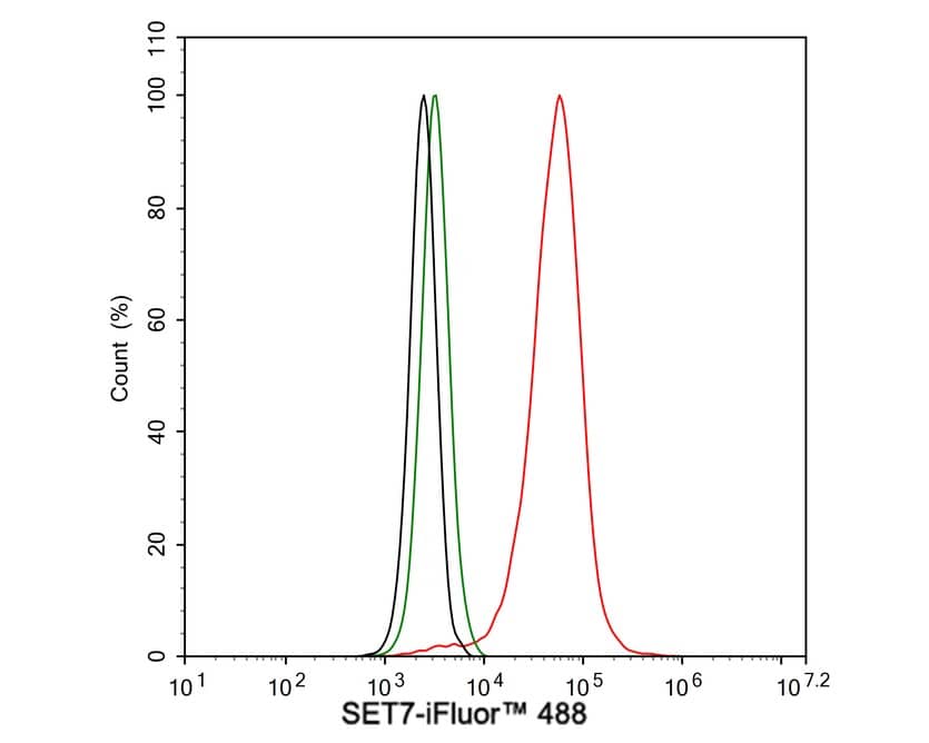 Flow Cytometry: SETD7 Antibody (PSH02-90) [NBP3-32945] - Flow cytometric analysis of HeLa cells labeling SETD7. Cells were fixed and permeabilized. Then stained with the primary antibody (NBP3-32945, 1μg/mL) (red) compared with Rabbit IgG Isotype Control (green). After incubation of the primary antibody at +4℃ for an hour, the cells were stained with a iFluor™ 488 conjugate-Goat anti-Rabbit IgG Secondary antibody at 1/1,000 dilution for 30 minutes at +4℃. Unlabelled sample was used as a control (cells without incubation with primary antibody; black).