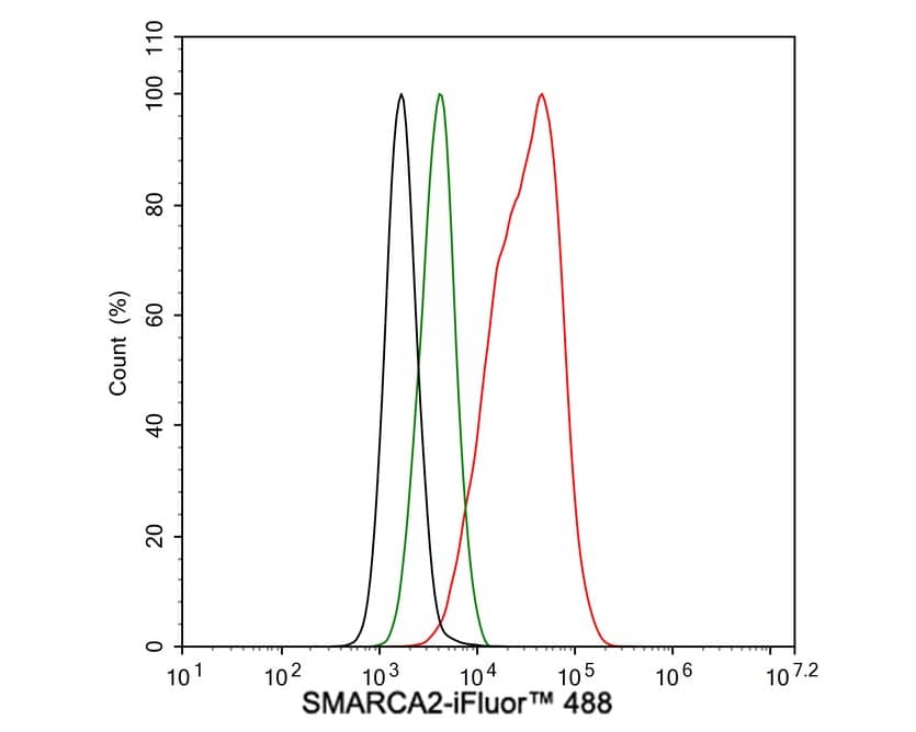 Flow Cytometry: BRM Antibody (PSH01-15) [NBP3-32957] - Flow cytometric analysis of MCF7 cells labeling BRM. Cells were fixed and permeabilized. Then stained with the primary antibody (NBP3-32957, 1μg/mL) (red) compared with Rabbit IgG Isotype Control (green). After incubation of the primary antibody at +4℃ for an hour, the cells were stained with a iFluor™ 488 conjugate-Goat anti-Rabbit IgG Secondary antibody at 1/1,000 dilution for 30 minutes at +4℃. Unlabelled sample was used as a control (cells without incubation with primary antibody; black).