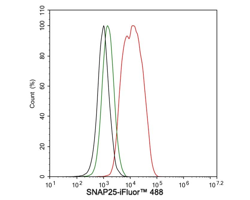 Flow Cytometry: SNAP25 Antibody (JE45-86) [NBP3-32961] - Flow cytometric analysis of SH-SY5Y cells labeling SNAP25. Cells were fixed and permeabilized. Then stained with the primary antibody (NBP3-32961, 1μg/mL) (red) compared with Rabbit IgG Isotype Control (green). After incubation of the primary antibody at +4℃ for an hour, the cells were stained with a iFluor™ 488 conjugate-Goat anti-Rabbit IgG Secondary antibody at 1/1,000 dilution for 30 minutes at +4℃. Unlabelled sample was used as a control (cells without incubation with primary antibody; black).