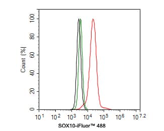 Flow Cytometry: SOX10 Antibody (PDH0-03) [NBP3-32970] - Flow cytometric analysis of A375 cells labeling SOX10. Cells were fixed and permeabilized. Then stained with the primary antibody (NBP3-32970, 1ug/ml) (red) compared with Rabbit IgG Isotype Control (green). After incubation of the primary antibody at +4℃ for an hour, the cells were stained with a iFluor™ 488 conjugate-Goat anti-Rabbit IgG Secondary antibody at 1/1,000 dilution for 30 minutes at +4℃. Unlabelled sample was used as a control (cells without incubation with primary antibody; black).