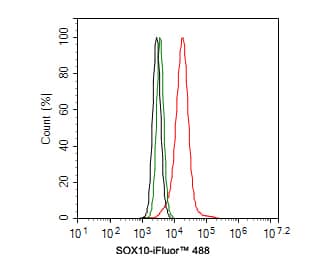 Flow Cytometry: SOX10 Antibody (PDH0-04) [NBP3-32971] - Flow cytometric analysis of A375 cells labeling SOX10. Cells were fixed and permeabilized. Then stained with the primary antibody (NBP3-32971, 1ug/ml) (red) compared with Rabbit IgG Isotype Control (green). After incubation of the primary antibody at +4℃ for an hour, the cells were stained with a iFluor™ 488 conjugate-Goat anti-Rabbit IgG Secondary antibody at 1/1,000 dilution for 30 minutes at +4℃. Unlabelled sample was used as a control (cells without incubation with primary antibody; black).