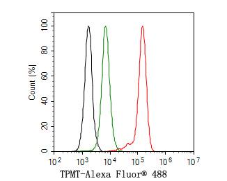 Flow Cytometry: TPMT Antibody (JE64-09) [NBP3-33038] - Flow cytometric analysis of K562 cells labeling TPMT. Cells were fixed and permeabilized. Then stained with the primary antibody (NBP3-33038, 1ug/ml) (red) compared with Rabbit IgG Isotype Control (green). After incubation of the primary antibody at +4℃ for an hour, the cells were stained with a Alexa Fluor® 488 conjugate-Goat anti-Rabbit IgG Secondary antibody at 1/1,000 dilution for 30 minutes at +4℃. Unlabelled sample was used as a control (cells without incubation with primary antibody; black).