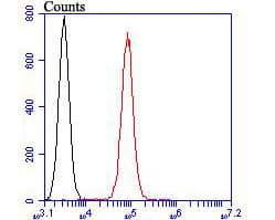 Flow Cytometry: TRPV6 Antibody [NBP3-33063] - Flow cytometric analysis of TRPV6 was done on HT-29 cells. The cells were fixed, permeabilized and stained with the primary antibody (NBP3-33063, 1/100) (red). After incubation of the primary antibody at room temperature for an hour, the cells were stained with a Alexa Fluor 488-conjugated goat anti-rabbit IgG Secondary antibody at 1/500 dilution for 30 minutes.Unlabelled sample was used as a control (cells without incubation with primary antibody; black).