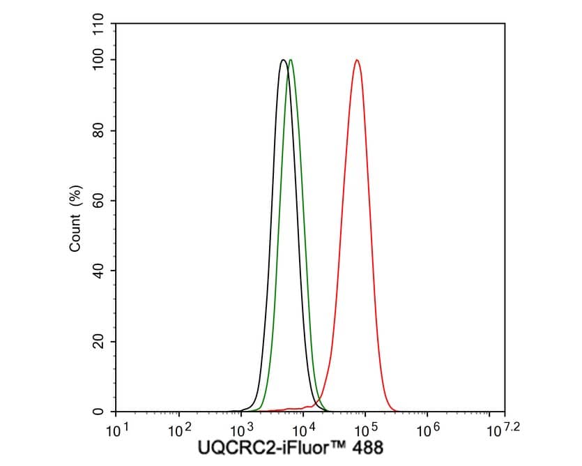 Flow Cytometry: UQCRC2 Antibody (JE32-56) [NBP3-33085] - Flow cytometric analysis of HepG2 cells labeling UQCRC2. Cells were fixed and permeabilized. Then stained with the primary antibody (NBP3-33085, 1μg/mL) (red) compared with Rabbit IgG Isotype Control (green). After incubation of the primary antibody at +4℃ for an hour, the cells were stained with a iFluor™ 488 conjugate-Goat anti-Rabbit IgG Secondary antibody at 1/1,000 dilution for 30 minutes at +4℃. Unlabelled sample was used as a control (cells without incubation with primary antibody; black).