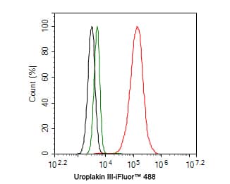 Flow Cytometry: Uroplakin III Antibody (PD00-09) [NBP3-33086] - Flow cytometric analysis of Hela cells labeling Uroplakin III. Cells were fixed and permeabilized. Then stained with the primary antibody (NBP3-33086, 1ug/ml) (red) compared with Rabbit IgG Isotype Control (green). After incubation of the primary antibody at +4℃ for an hour, the cells were stained with a iFluor™ 488 conjugate-Goat anti-Rabbit IgG Secondary antibody at 1/1,000 dilution for 30 minutes at +4℃. Unlabelled sample was used as a control (cells without incubation with primary antibody; black).