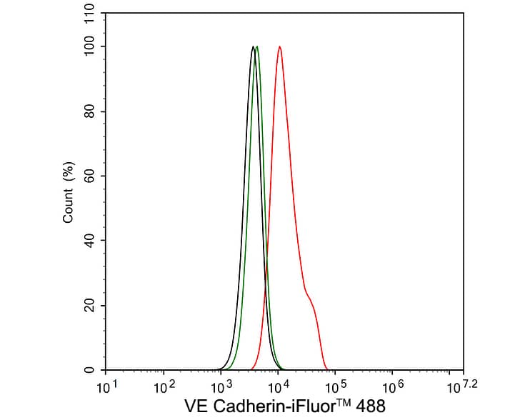 Flow Cytometry: VE-Cadherin Antibody (PSH03-15) [NBP3-33088] - Flow cytometric analysis of EA.hy926 cells labeling VE-Cadherin. Cells were washed twice with cold PBS and resuspend. Then stained with the primary antibody (NBP3-33088, 1μg/mL) (red) compared with Rabbit IgG Isotype Control (green). After incubation of the primary antibody at +4℃ for an hour, the cells were stained with a iFluor™ 488 conjugate-Goat anti-Rabbit IgG Secondary antibody at 1/1,000 dilution for 30 minutes at +4℃. Unlabelled sample was used as a control (cells without incubation with primary antibody; black).