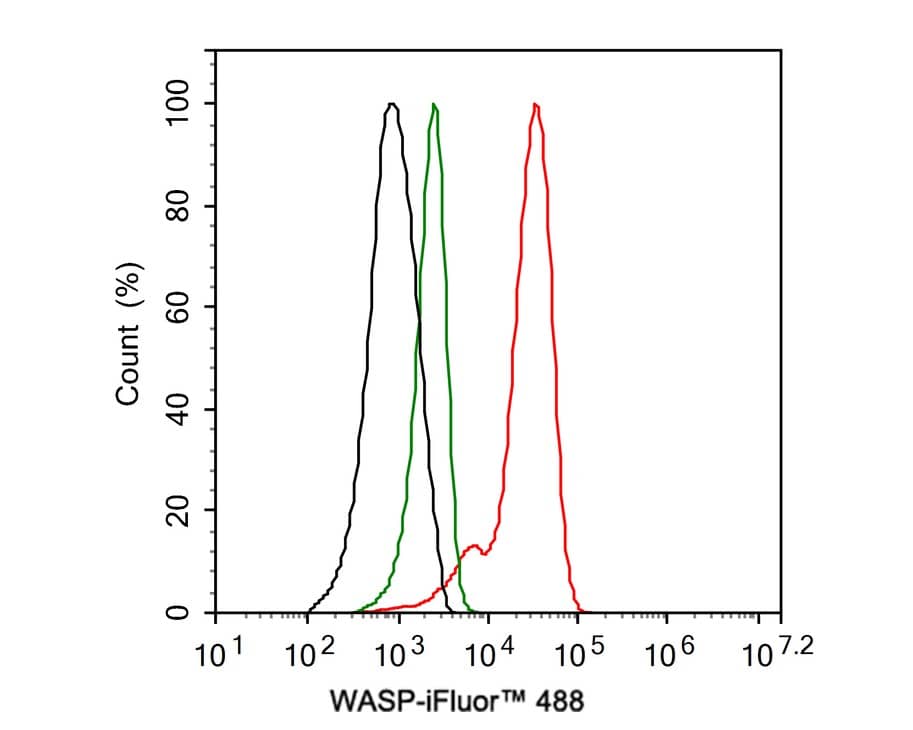 Flow Cytometry: WASP Antibody (JE36-82) [NBP3-33098] - Flow cytometric analysis of Jurkat cells labeling WASP. Cells were fixed and permeabilized. Then stained with the primary antibody (NBP3-33098, 1ug/ml) (red) compared with Rabbit IgG Isotype Control (green). After incubation of the primary antibody at +4℃ for an hour, the cells were stained with a iFluor™ 488 conjugate-Goat anti-Rabbit IgG Secondary antibody at 1/1,000 dilution for 30 minutes at +4℃. Unlabelled sample was used as a control (cells without incubation with primary antibody; black).