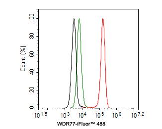 Flow Cytometry: WDR77 Antibody (PSH0-07) [NBP3-33101] - Flow cytometric analysis of Hela cells labeling WDR77. Cells were fixed and permeabilized. Then stained with the primary antibody (NBP3-33101, 1ug/ml) (red) compared with Rabbit IgG Isotype Control (green). After incubation of the primary antibody at +4℃ for an hour, the cells were stained with a iFluor™ 488 conjugate-Goat anti-Rabbit IgG Secondary antibody at 1/1,000 dilution for 30 minutes at +4℃. Unlabelled sample was used as a control (cells without incubation with primary antibody; black).