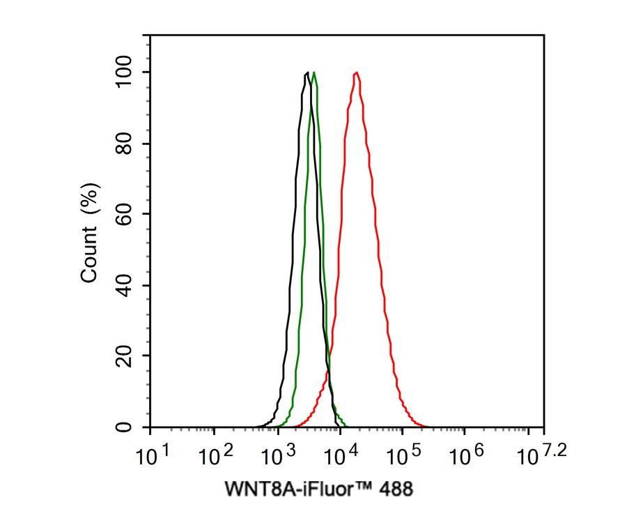 Flow Cytometry: Wnt-8a Antibody (PSH0-39) [NBP3-33103] - Flow cytometric analysis of HeLa cells labeling Wnt-8a. Cells were fixed and permeabilized. Then stained with the primary antibody (NBP3-33103, 1ug/ml) (red) compared with Rabbit IgG Isotype Control (green). After incubation of the primary antibody at +4℃ for an hour, the cells were stained with a iFluor™ 488 conjugate-Goat anti-Rabbit IgG Secondary antibody at 1/1,000 dilution for 30 minutes at +4℃. Unlabelled sample was used as a control (cells without incubation with primary antibody; black).