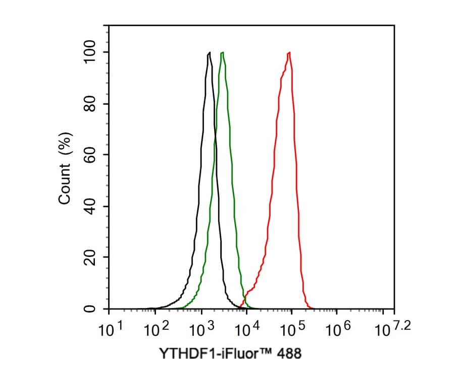 Flow Cytometry: YTHD1 Antibody (PSH0-23) [NBP3-33109] - Flow cytometric analysis of 293 cells labeling YTHD1. Cells were fixed and permeabilized. Then stained with the primary antibody (NBP3-33109, 1ug/ml) (red) compared with Rabbit IgG Isotype Control (green). After incubation of the primary antibody at +4℃ for an hour, the cells were stained with a iFluor™ 488 conjugate-Goat anti-Rabbit IgG Secondary antibody at 1/1,000 dilution for 30 minutes at +4℃. Unlabelled sample was used as a control (cells without incubation with primary antibody; black).