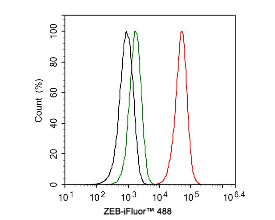 Flow Cytometry: ZEB1 Antibody (PSH0-61) [NBP3-33133] - Flow cytometric analysis of Jurkat cells labeling ZEB1. Cells were fixed and permeabilized. Then stained with the primary antibody (NBP3-33133, 1ug/ml) (red) compared with Rabbit IgG Isotype Control (green). After incubation of the primary antibody at +4℃ for an hour, the cells were stained with a iFluor™ 488 conjugate-Goat anti-Rabbit IgG Secondary antibody at 1/1,000 dilution for 30 minutes at +4℃. Unlabelled sample was used as a control (cells without incubation with primary antibody; black).
