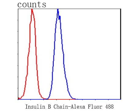 Flow Cytometry: Insulin B chain Antibody [NBP3-33144] - Flow cytometric analysis of Insulin B chain was done on HepG2 cells. The cells were fixed, permeabilized and stained with the primary antibody (NBP3-33144, 1/50) (blue). After incubation of the primary antibody at room temperature for an hour, the cells were stained with a Alexa Fluor 488-conjugated Goat anti-Rabbit IgG Secondary antibody at 1/1000 dilution for 30 minutes.Unlabelled sample was used as a control (cells without incubation with primary antibody; red).