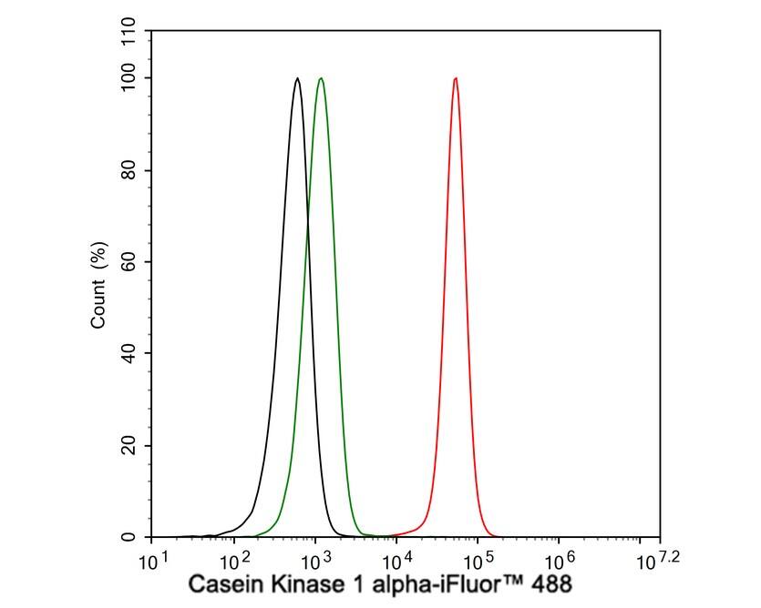 Flow Cytometry: CSNK1A1/CSNK1A1L Antibody (PSH04-58) [NBP3-33146] - Flow cytometric analysis of HCT 116 cells labeling CSNK1A1/CSNK1A1L. Cells were fixed and permeabilized. Then stained with the primary antibody (NBP3-33146, 1μg/mL) (red) compared with Rabbit IgG Isotype Control (green). After incubation of the primary antibody at +4℃ for an hour, the cells were stained with a iFluor™ 488 conjugate-Goat anti-Rabbit IgG Secondary antibody at 1/1,000 dilution for 30 minutes at +4℃. Unlabelled sample was used as a control (cells without incubation with primary antibody; black).