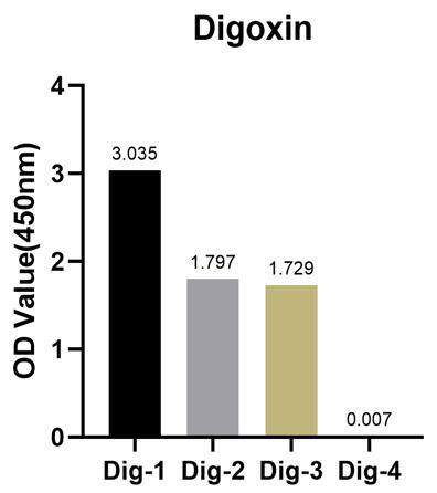 ELISA: Digoxin Antibody (7H3V0) [NBP3-35056] - The Digoxin Rabbit mAb are tested in ELISA against digoxin labelled oligonucleotide(Dig-1，Dig-2 and Dig-3) and unlabelled oligonucleotide(Dig-4) Dig-1 :5'AGCTAAC/iDigdT/ACTAGCT(Biotin)3' Dig-2 :5'(Digoxin)AGCTAACTACTAGCT(Biotin)3' Dig-3 :5'(Biotin)AGCTAACTACTAGCT(Digoxin)3' Dig-4 :5'AGCTAACTACTAGCT(Biotin)3'