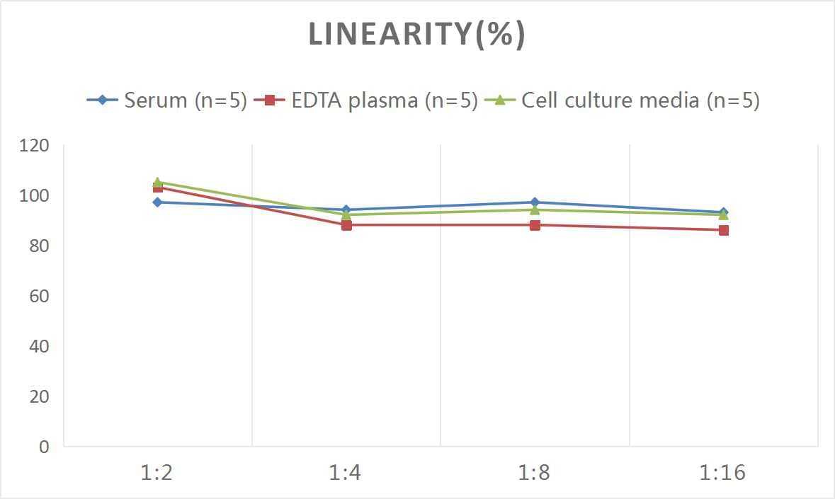 ELISA: Human MR-proADM ELISA Kit (Colorimetric) [NBP3-38650] - Samples were spiked with high concentrations of Human MR-proADM and diluted with Reference Standard & Sample Diluent to produce samples with values within the range of the assay.
