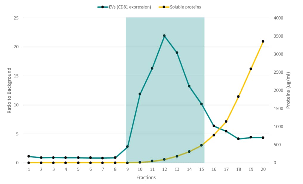 EV MiniSEC Columns [NBP3-41043] - EV separation - EV MiniSEC Column was filled with 500 uL of medium from HCT116 cells, previously concentrated by TFF-Easy. 20 fractions (100 μl each one) have been collected and analyzed by ELISA assay (CD81 marker) and by BCA test for determining respectively vesicle and total protein content. EVs are eluted in fractions 9 - 14 (turnaround time approximately 10 min), whereas circulating proteins corresponded to the fractions 16 - 20.