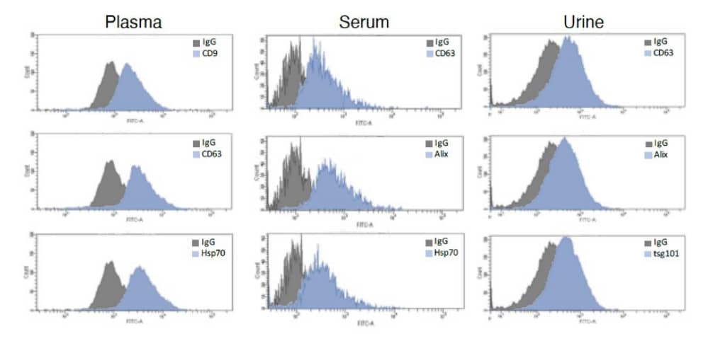 Flow Cytometry: evGAG - Extracellular Vesicles Purification Kit [NBP3-41044] - Analysis of EVs isolated using evGAG from 50 ul of plasma or serum and 3 ml of urine. Primary antibodies used in the example: anti-CD9, anti-CD63, anti-ALIX (Catalog # NBP3-18364), anti-TSG101, anti-HSP70.