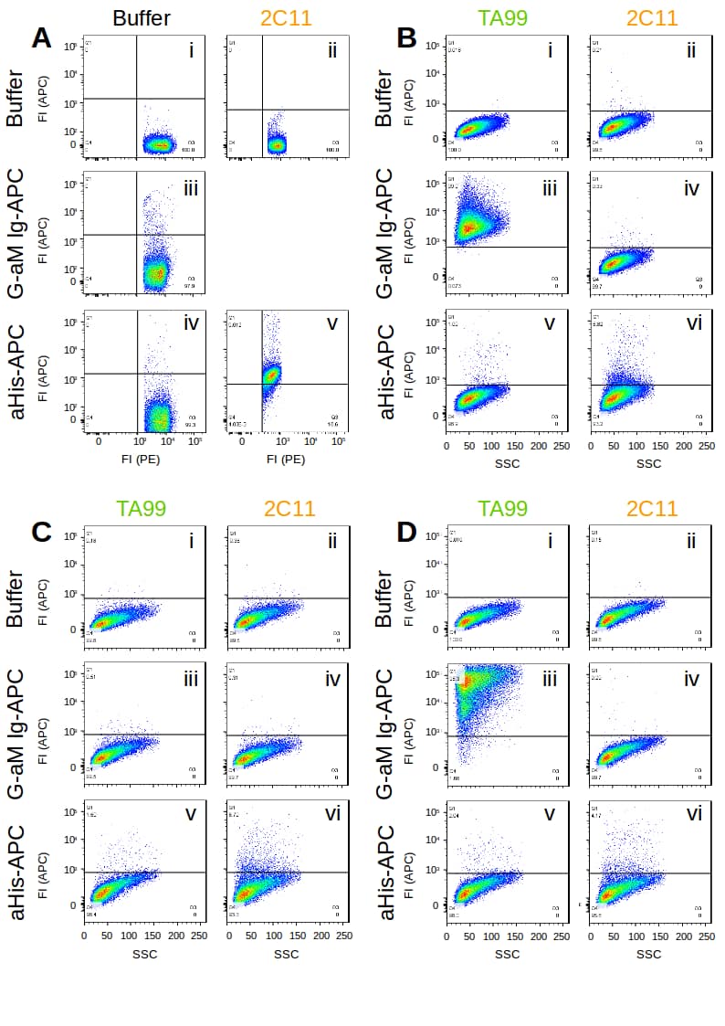 Flow Cytometry: TYRP1 Antibody (TA99) - Chimeric - BSA Free [NBP3-43531] - Mouse splenocytes (A), B16F10 murine melanoma cells (B), KPC3 pacreas carcinoma cells (C) and KPC3 cells transfected with the TYRP1 gene (D) were fixed using 2% PFA, permeabilised using 0.5% Triton and were subject to a primary treatment of either buffer, mouse-IgG1 chimeric 2C11 or NBP3-43531 (TA99) (indicated above plots) before a secondary treatment with buffer, goat anti-mouse Ig-allophycocyanin (G-aM Ig-APC) or anti-HisTag-APC (aHis-APC) antibodies (indicated beside plots). In panel A, splenocytes were also stained with a commercially available anti-CD3 (2C11) antibody conjugated to phycoerythrin (PE); all cells (i-v) were CD3 and thus PE positive. In subpanel 'A v' an increase in APC fluorescence intensity (FI(APC)) indicates binding of aHis-APC to 2C11 bound to CD3 at the cell surface. Some Ig containing proteins expressed by the splenocytes may explain the increase in APC fluorescence in subpanel 'A iii'. In panel B an increase in FI(APC) in subpanel 'iii' indicates that TA99 binds to heavily expressed TYRP1 at B16F10 cell surfaces and is then detectable using an G-aM Ig-APC antibody. Conversely, G-aM Ig-APC did not detect 2C11 at the cell surface, whereas a subset of cells with 2C11 bound to the surface were detectable using aHis-APC. Panel C shows that TYRP1 is not detectable in KPC3 carcinoma cells ('Ci, iii, v') as expected, and that again, aHis-APC is able to detect a small subset of CD3 expressing cells ('C vi'). When transfected with the TYRP1 gene, KPC3 cells then strongly express TYRP1 and it becomes detectable ('D iii'). A small subset of CD3 positive cells was again detectable in TYRP1 transfected KPC3 cells ('D vi'). All analyses were made using FACSCanto flow-cytometer.