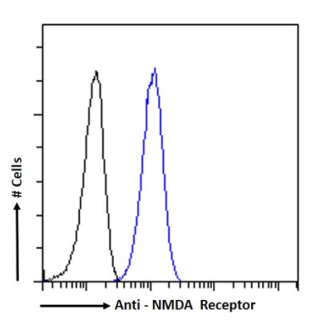 Flow Cytometry: NMDAR2B Antibody (17) - BSA Free [NBP3-43543] - Paraformaldehyde fixed C6 cells permeabilized with 0.5% Triton were stained with anti-unknown specificity antibody (isotype control, black line) or NBP3-43543 (blue line) at a dilution of 1:100 for 1h at RT. After washing, the bound antibody was detected using a goat anti-rabbit IgG AlexaFluor® 488 antibody at a dilution of 1:1000 and cells analyzed using a FACSCanto flow-cytometer.