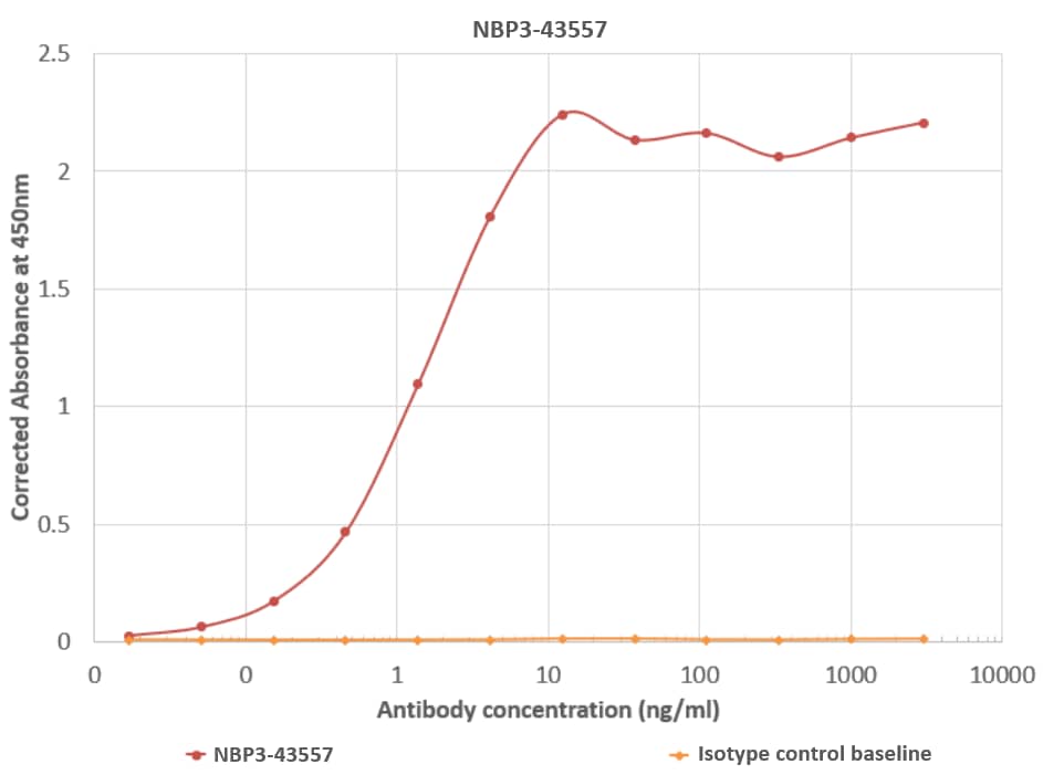 ELISA: Norovirus VP1 Antibody (A1431) - Chimeric - BSA Free [NBP3-43557] - Binding curves of NBP3-43557 (blue line) and isotype control (NBP2-52638; yellow line) to an ELISA plate coated with Norovirus GII.4 VLP at a concentration of 2.5 ug/ml. A 3-fold serial dilution from 3000 to 0.0169 ng/ml was performed using NBP3-43557 antibody. For signal detection, a 1:4000 dilution of a HRP-conjugated anti-rabbit IgG antibody was used.