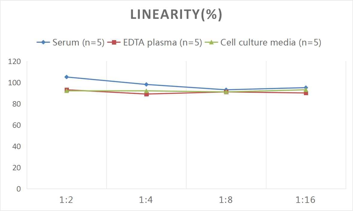 ELISA Human Eosinophil derived neurotoxin ELISA Kit (Colorimetric)