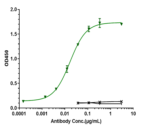Immobilized human CD79B His at 2 ug/mL can bind CD79B, EC50 is 0.01675 ug/mL.