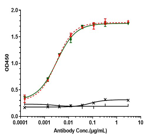 Immobilized human HER2(23 652) His at 2 ug/mL can bind CEACAM-5/CD66e (Tusamitamab Ravtansine) Antibody, EC50 is 0.003203 ug/mL.