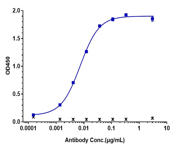Immobilized human HER2 His Tag Protein at 2 ug/mL can bind nti-ErbB2/Her2 (Disitamab Vedotin) Antibody，EC50=0.007398 ug/mL.