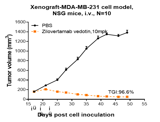 ROR1 (Zilovertamab Vedotin) Antibody inhibited the tumor growth of MDA-MB-231on NSG mice. The result showed significant anti-tumor effects, with an tumor inhibition rate (TGI) of 96.6% at 10 mpk.