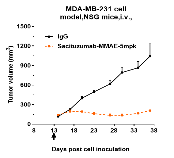 In vivo assay: TROP-2 (Sacituzumab Vedotin) Antibody [NBP3-44558] - TROP-2 (Sacituzumab Vedotin) Antibody inhibited the tumor growth of MDA-MB-231 on NSG mice. The result showed significant anti-tumor effects, with an tumor inhibition rate (TGI) of 80.0% at 5 mpk at D37.