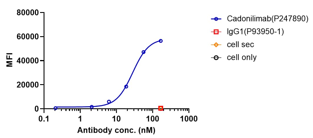 Cadonilimab bound to huCTLA4-CHO cells,  and then rebounded to fluorescent secondary antibodies(Anti-Human IgG, Fcgamma PE) , and test by flow cytometry. As shown in fig, Cadonilimab bound to huCTLA4-CHO cells, and the EC50 was 27.870 nM.