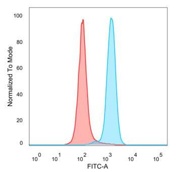 Flow Cytometric Analysis of HeLa cells using BACH2 Antibody (PCRP-BACH2-5B11). Goat anti-Mouse IgG-CF488 (Blue); Isotype Control (Red).