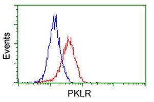 Flow cytometric Analysis of Jurkat cells, using anti-PKLR antibody , (Red), compared to a nonspecific negative control antibody , (Blue).