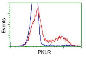 HEK293T cells transfected with either overexpress plasmid (Red) or empty vector control plasmid (Blue) were immunostained by anti-PKLR antibody , and then analyzed by flow cytometry.