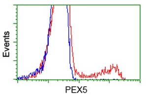 HEK293T cells transfected with either overexpress plasmid (Red) or empty vector control plasmid (Blue) were immunostained by anti-PEX5 antibody , and then analyzed by flow cytometry.