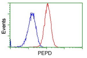 Flow Cytometry PEPD Antibody (OTI5D5)