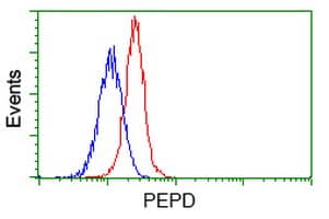 Flow Cytometry PEPD Antibody (OTI5D5)